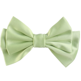 Rilia Medium Hair Bow Clip
